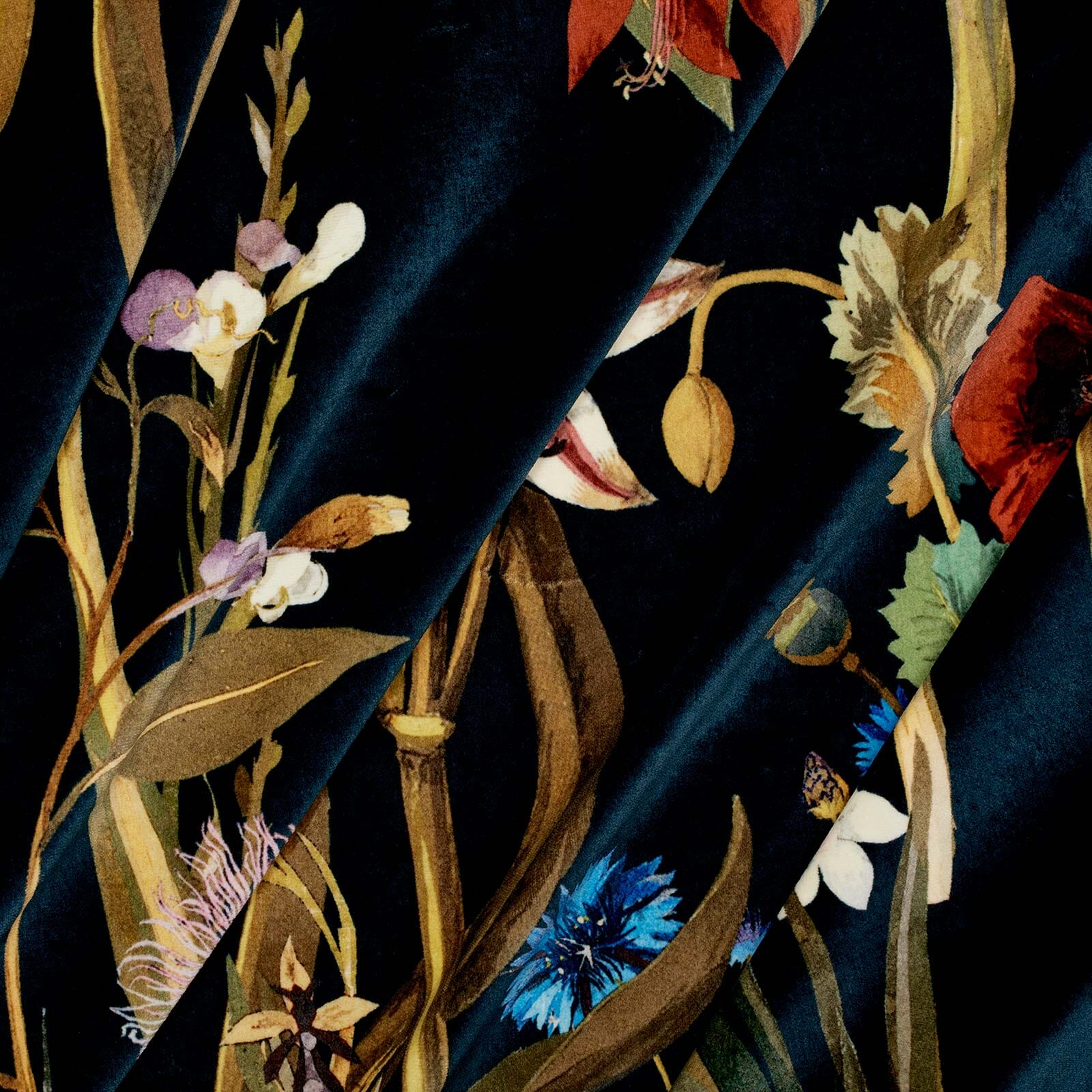 FLORA DELANICA Velvet - Midnight