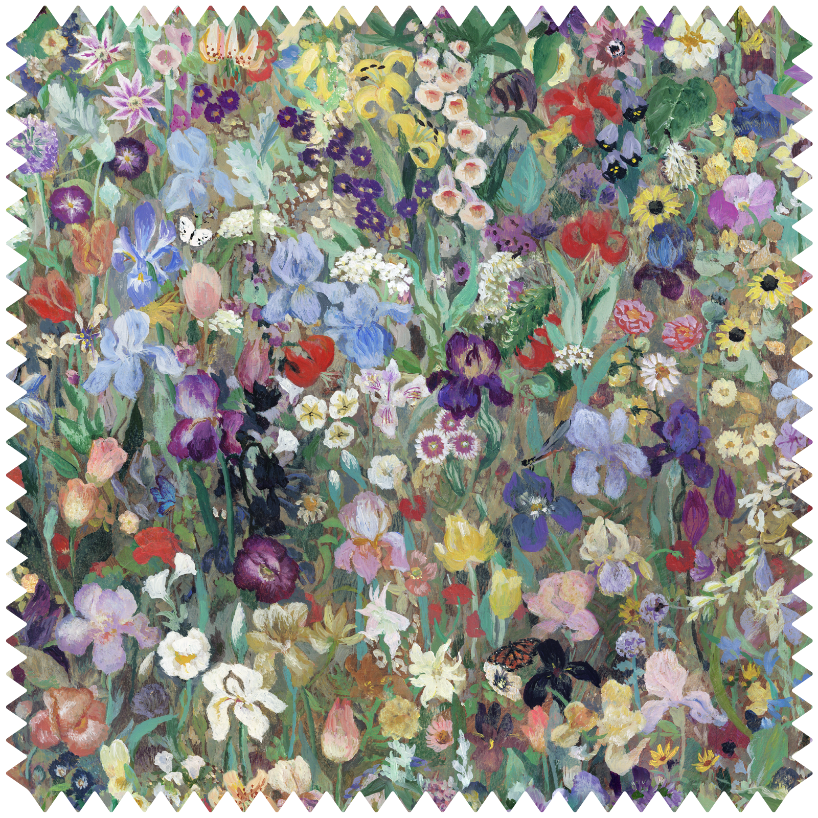 FLORIBUNDA MAGNA Velvet - Zenith Sample