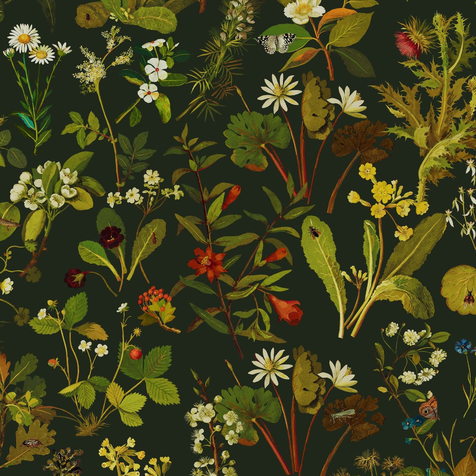 HERBARIUM Wallpaper - Forest Green-Spruce Sample