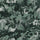 LIMERENCE Wallpaper - Fern
