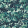 LIMERENCE Wallpaper - Galapagos