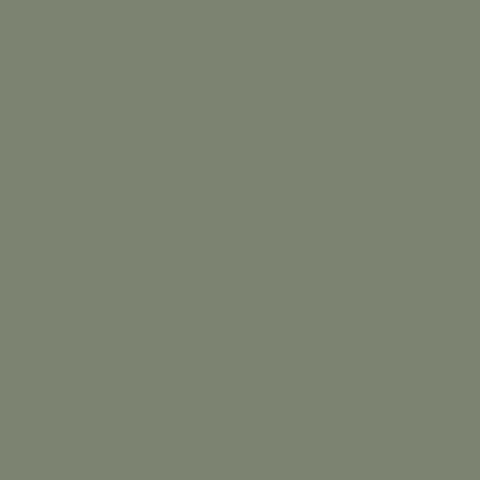 MYRTLE Paint - 56 Swatch