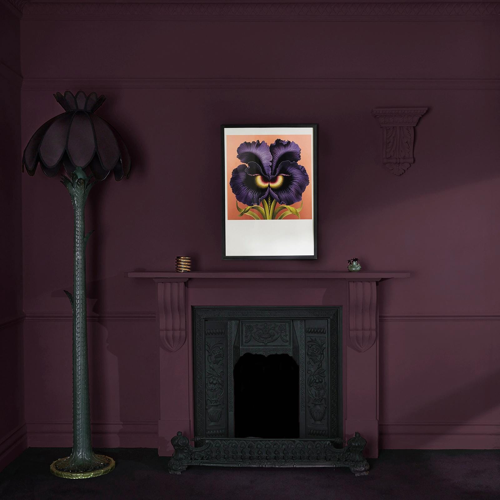 ANEMONE Paint - 11