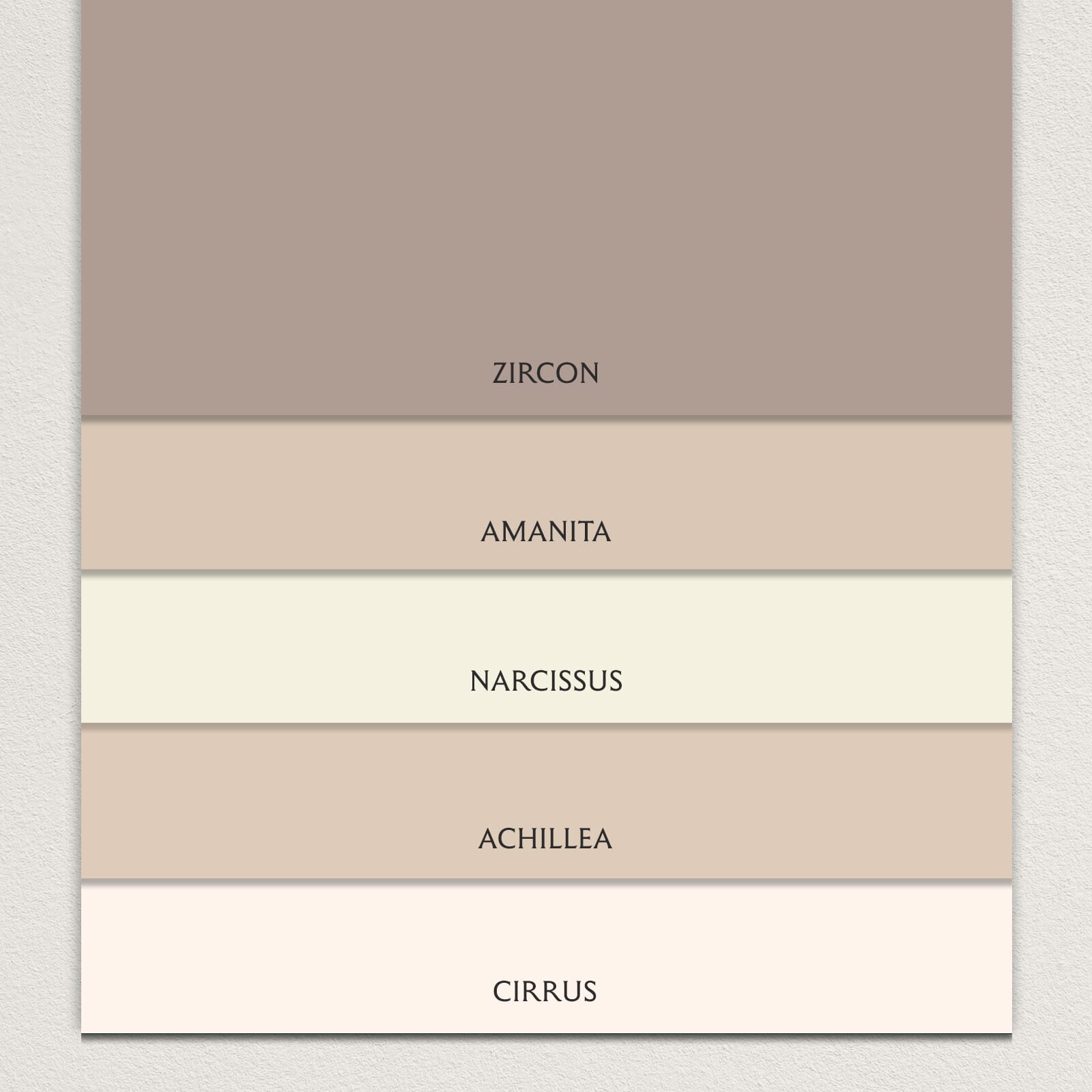 PAINT SAMPLE PACK - Neutrals