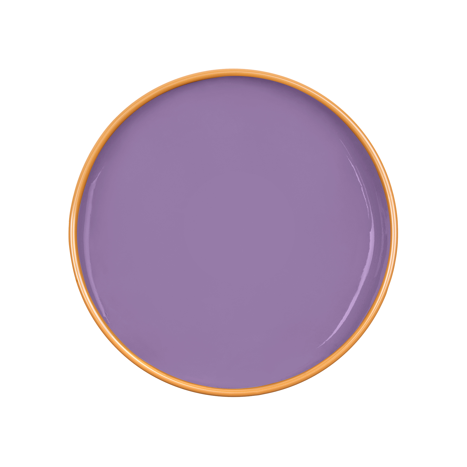 VIOLET Paint - 67