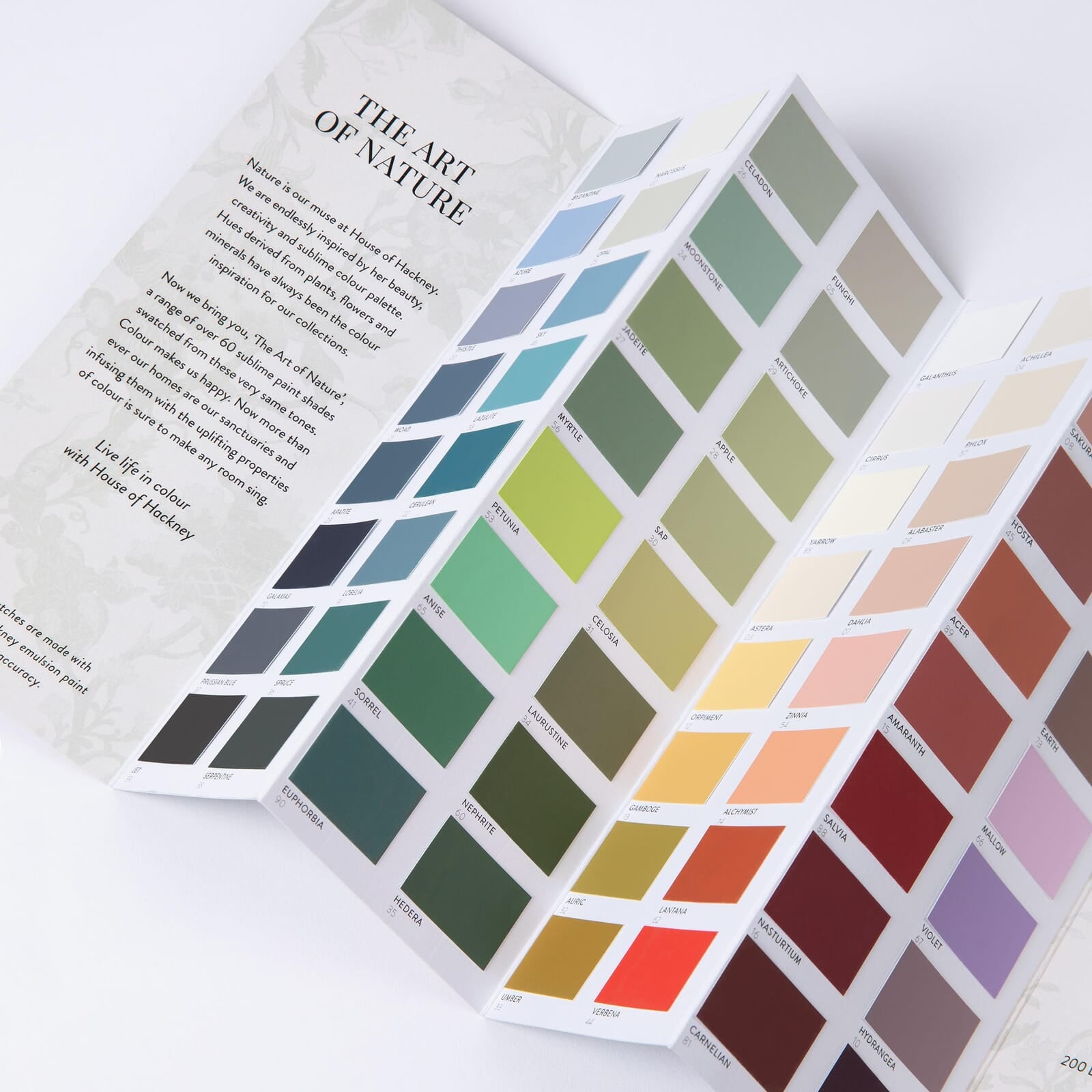 Paint Chip Colour Card