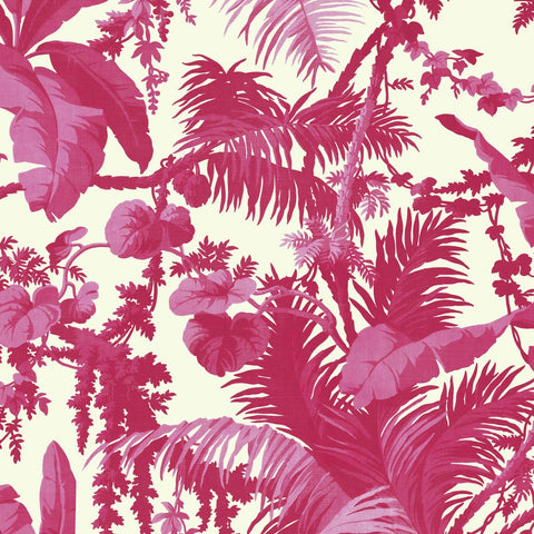 PAMPAS Wallpaper - Off White & Azalea Sample