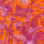 PAMPAS Wallpaper - Tangerine & Azalea