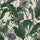 PARADISA Wallpaper - Off White Sample