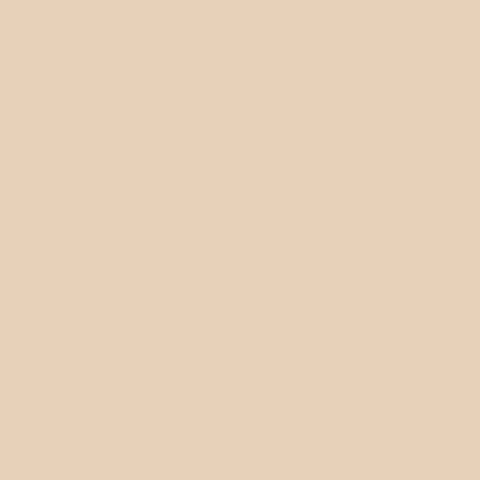 PHLOX Paint Pot 125ml - 57