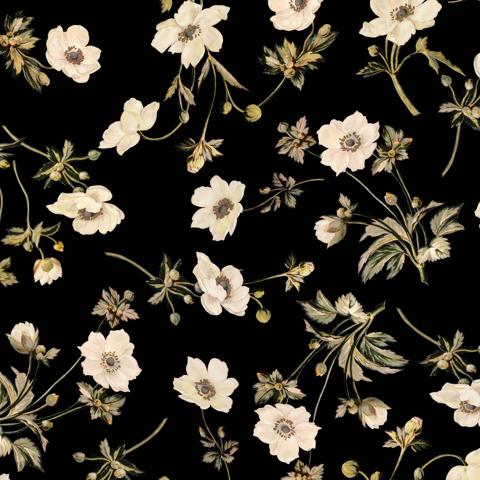 POPPIUM Wallpaper - Ebony