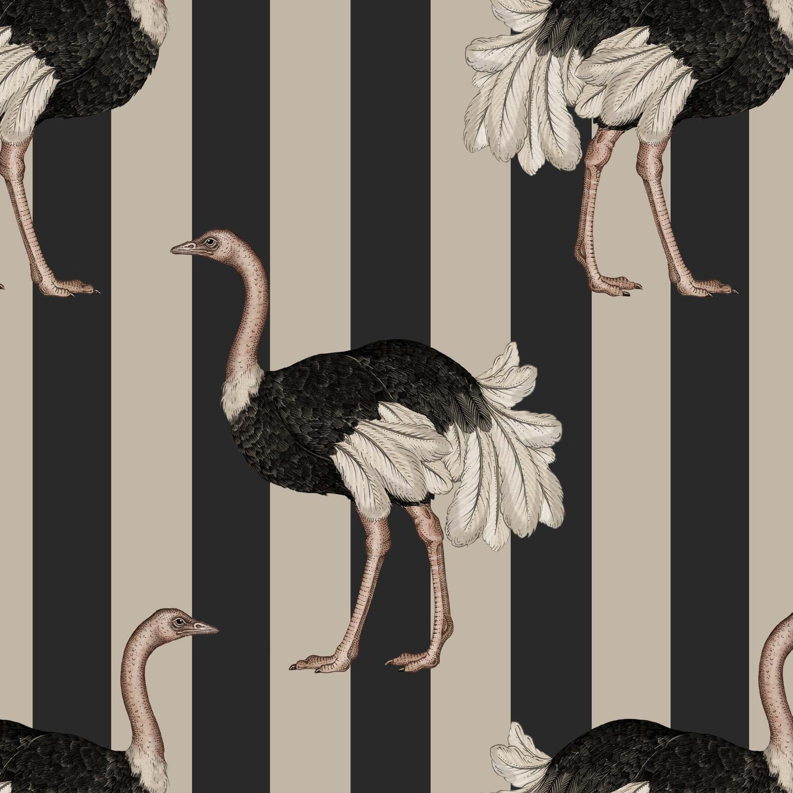 PRIDE Wallpaper - Clay & Off Black Sample