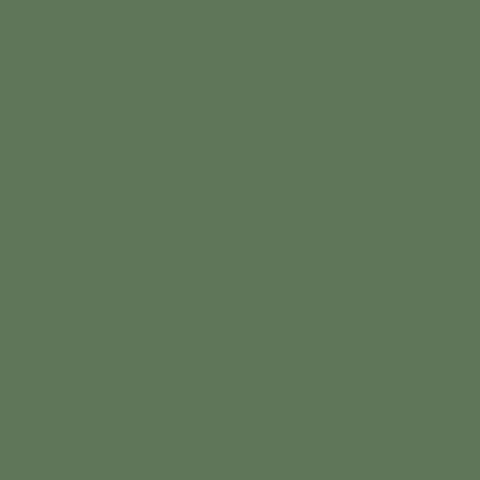 SORREL Paint - 41 Swatch