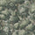 NEMOR Wallpaper - Verde