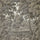 PLANTASIA Wallpaper - Cedar