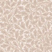 QUERCUS Wallpaper - Astrantia