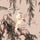 ZEUS Wallpaper - Plaster