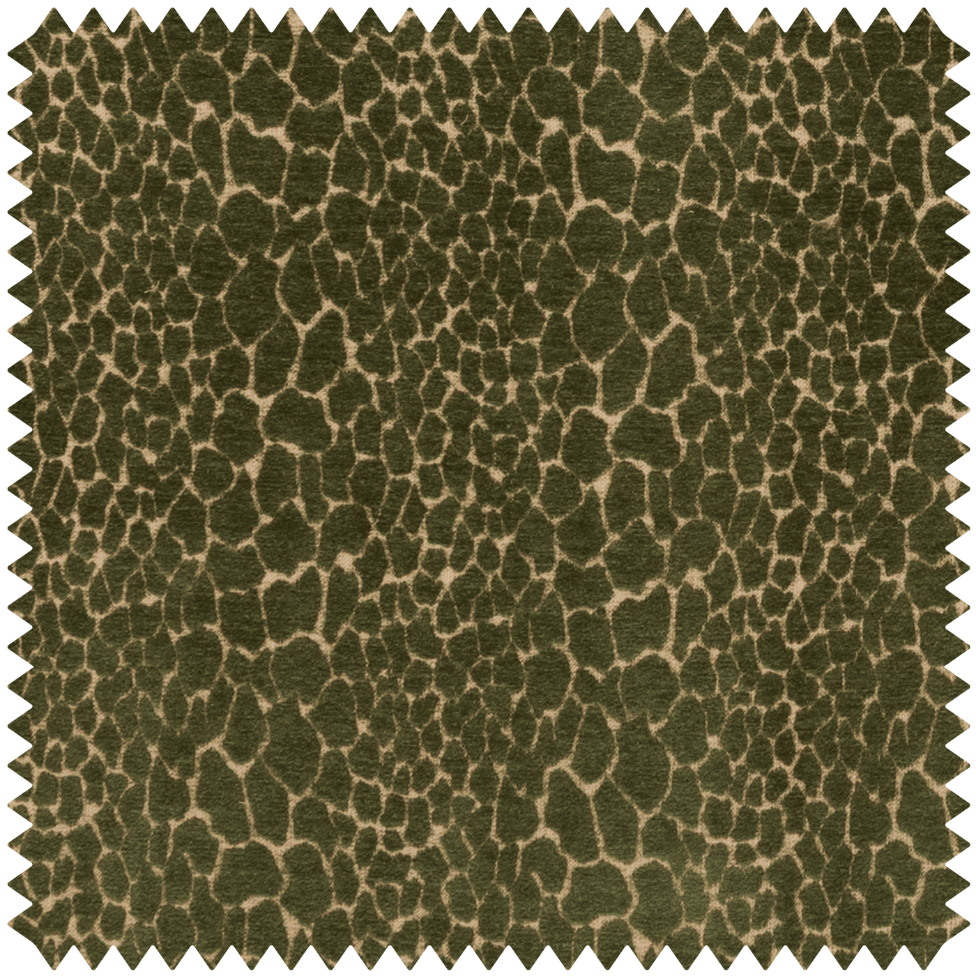a close up of a fabric