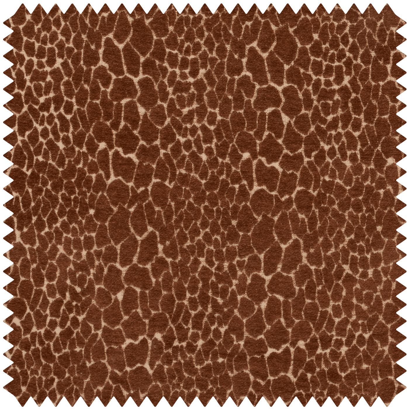 a close up of a fabric