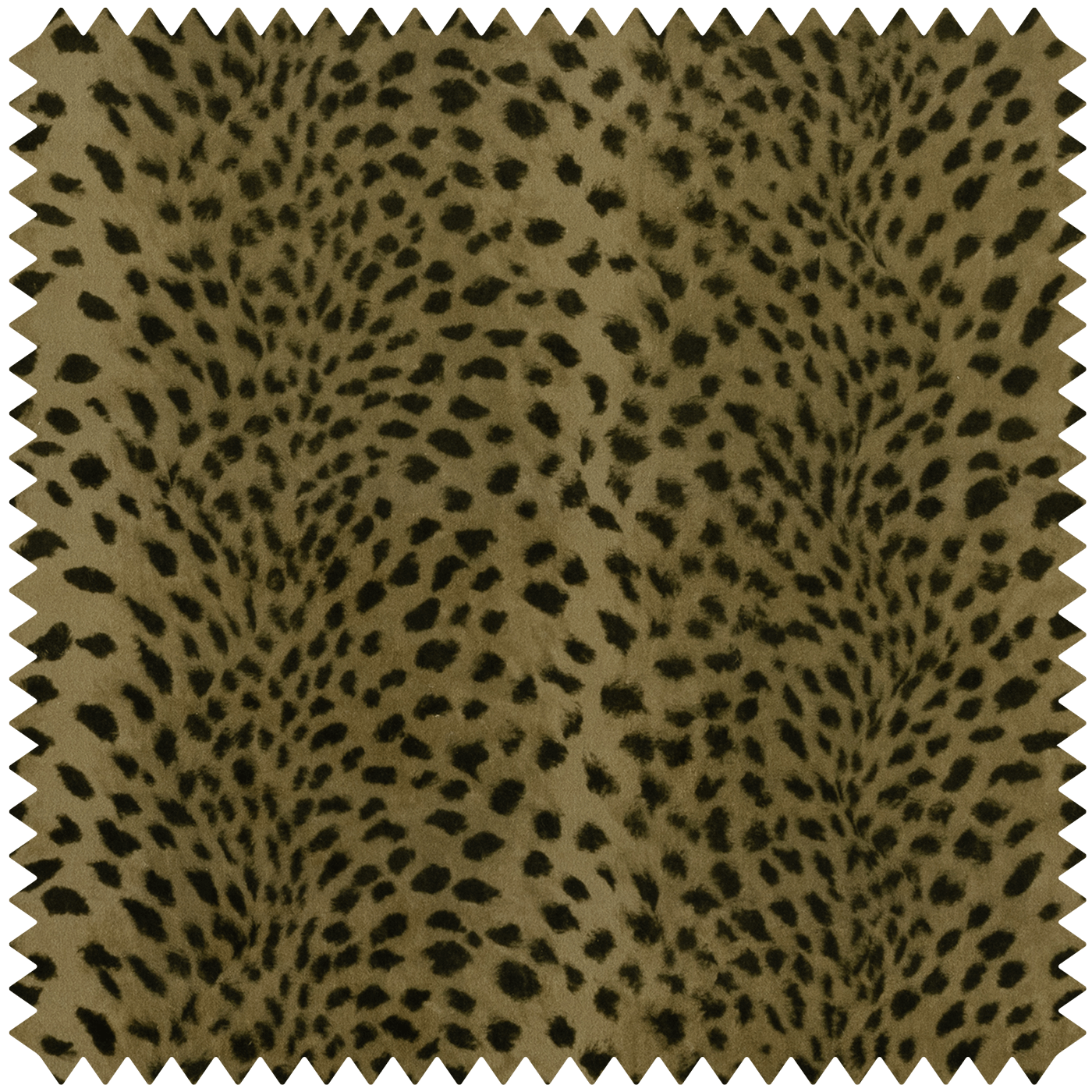 SAVANNA Velvet - Auric Sample