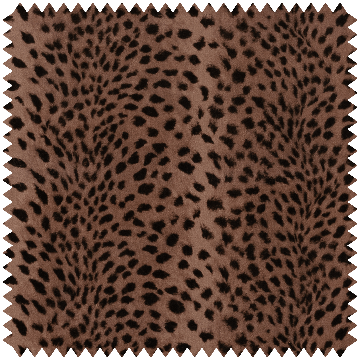 SAVANNA Velvet - Cosmos