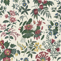 LODDIGES Wallpaper - Achillea Sample