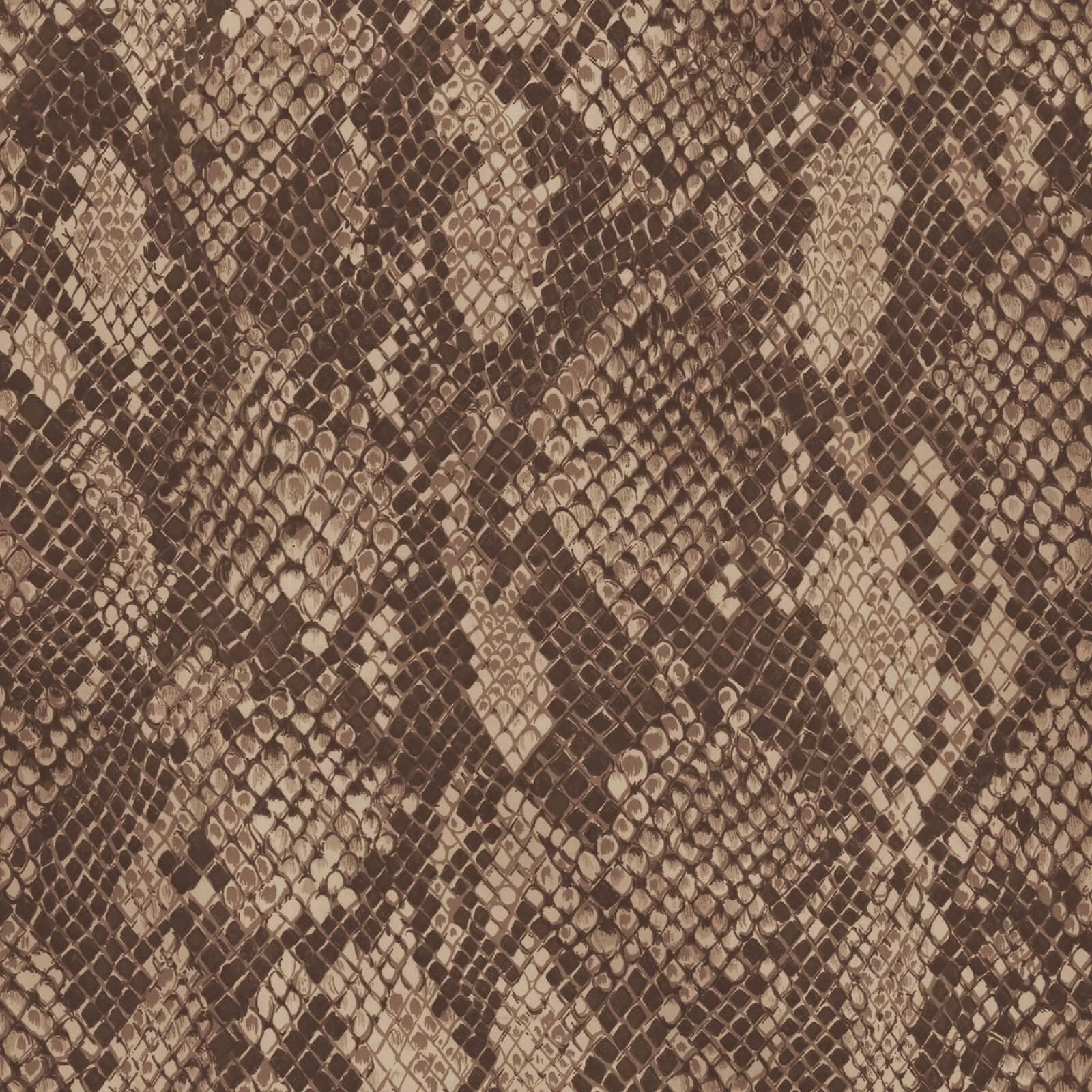a close up of a snake skin
