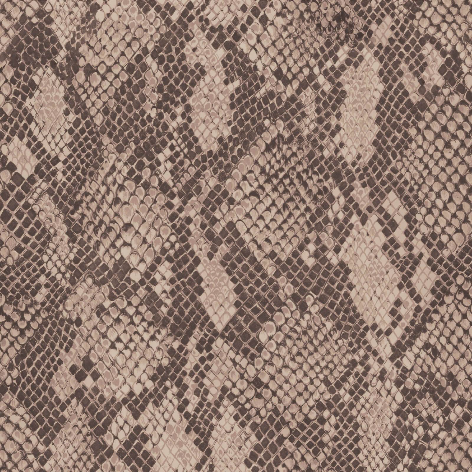 a close up of a snake skin