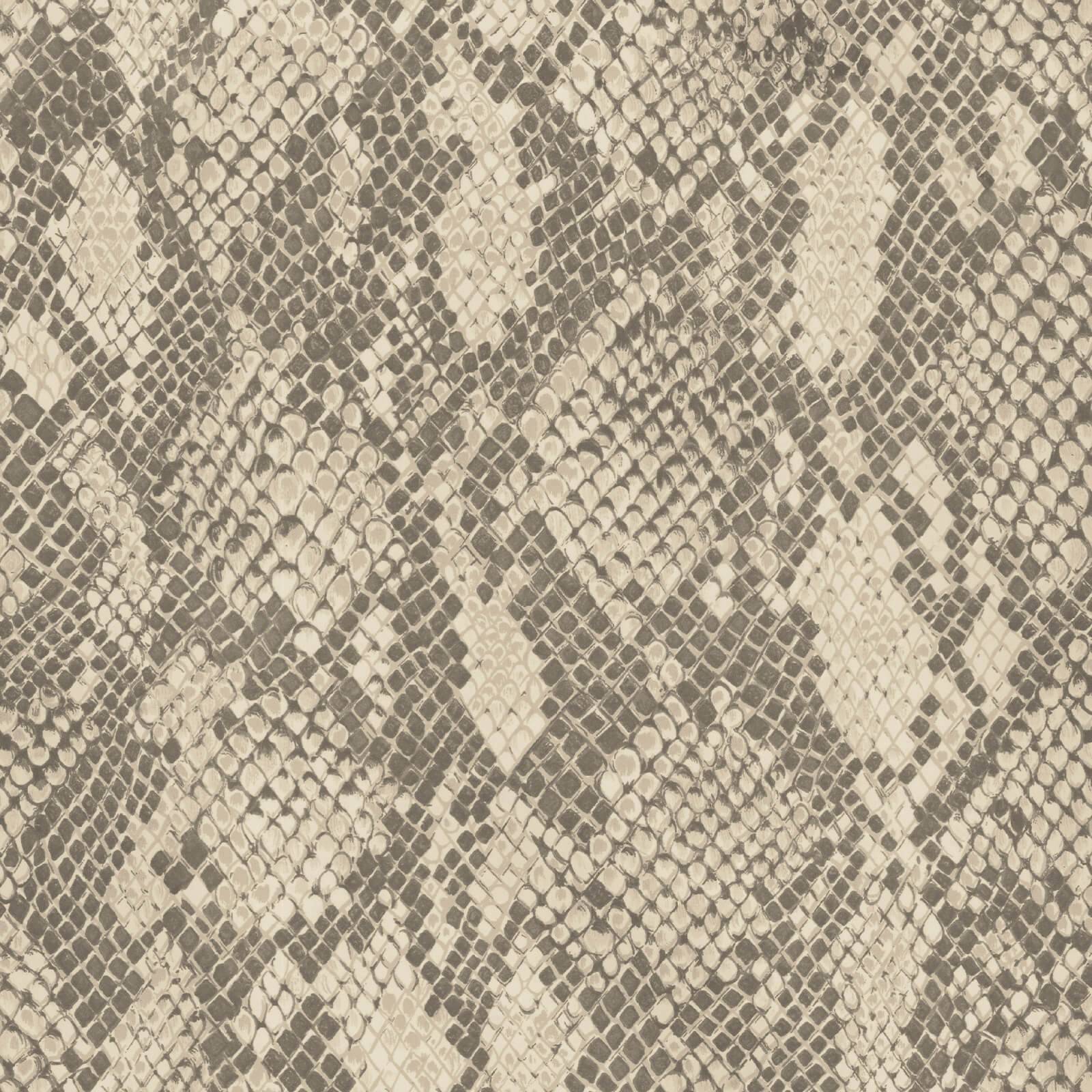 COBRA Wallpaper - Phlox