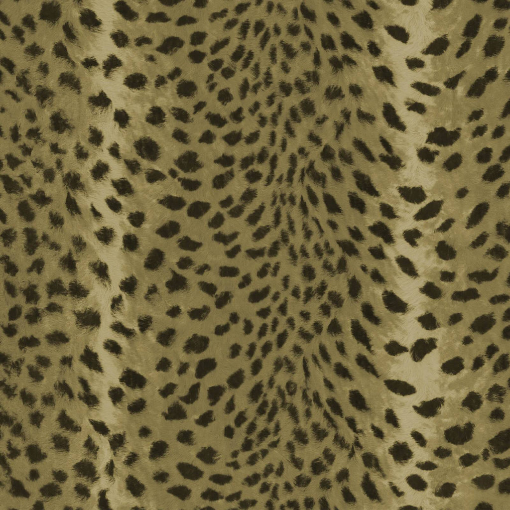 3 metres - full height wallpaper