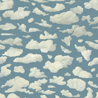 STRATUS Wallpaper - Sky
