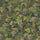 VESPERTINE Wallpaper - Verde
