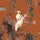 ZEUS Wallpaper - Tobacco Sample