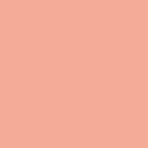 ZINNIA Paint Pot 125ml - 54